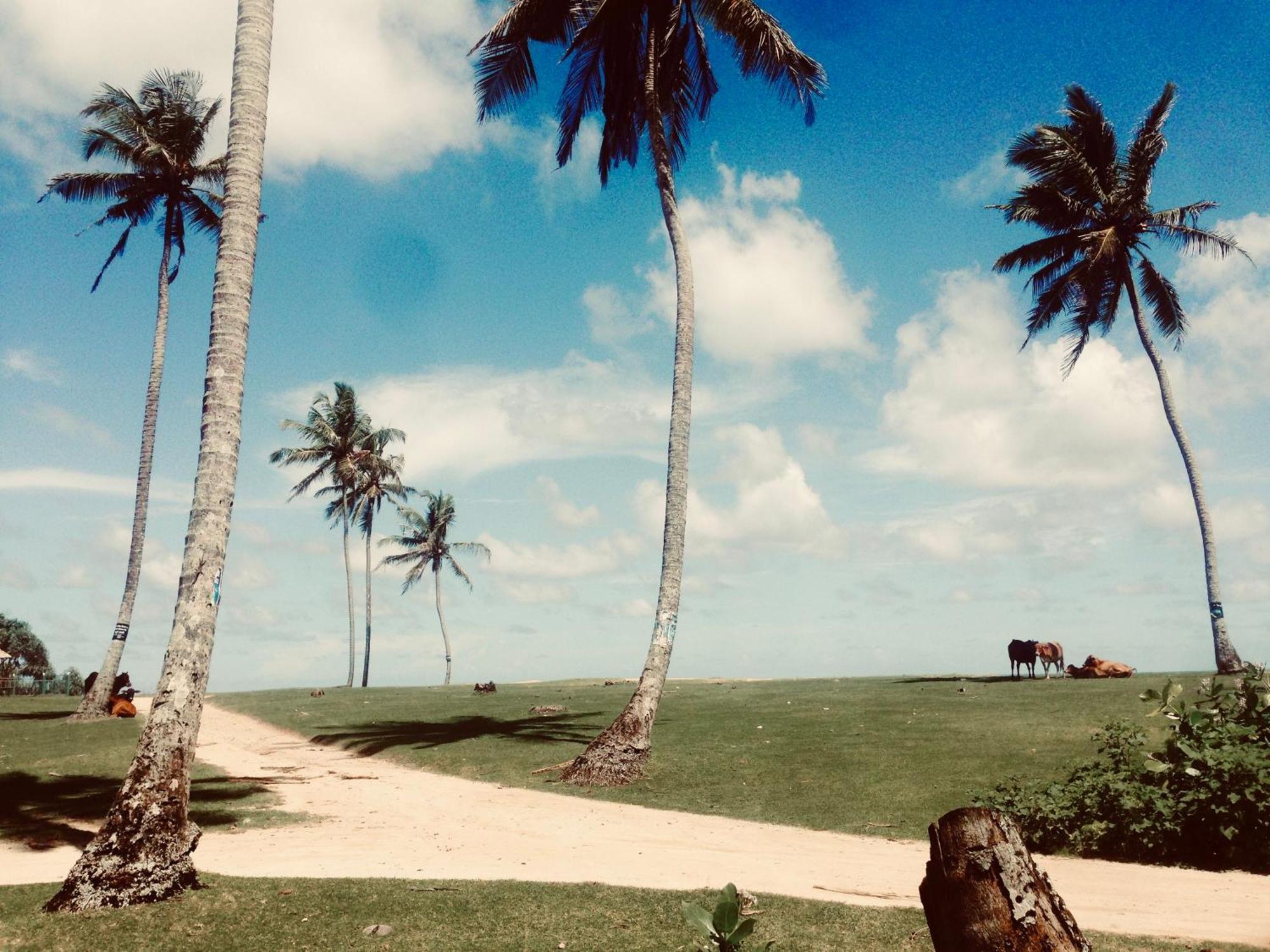 Dorian Guest House And Restaurant Weligama Exterior foto